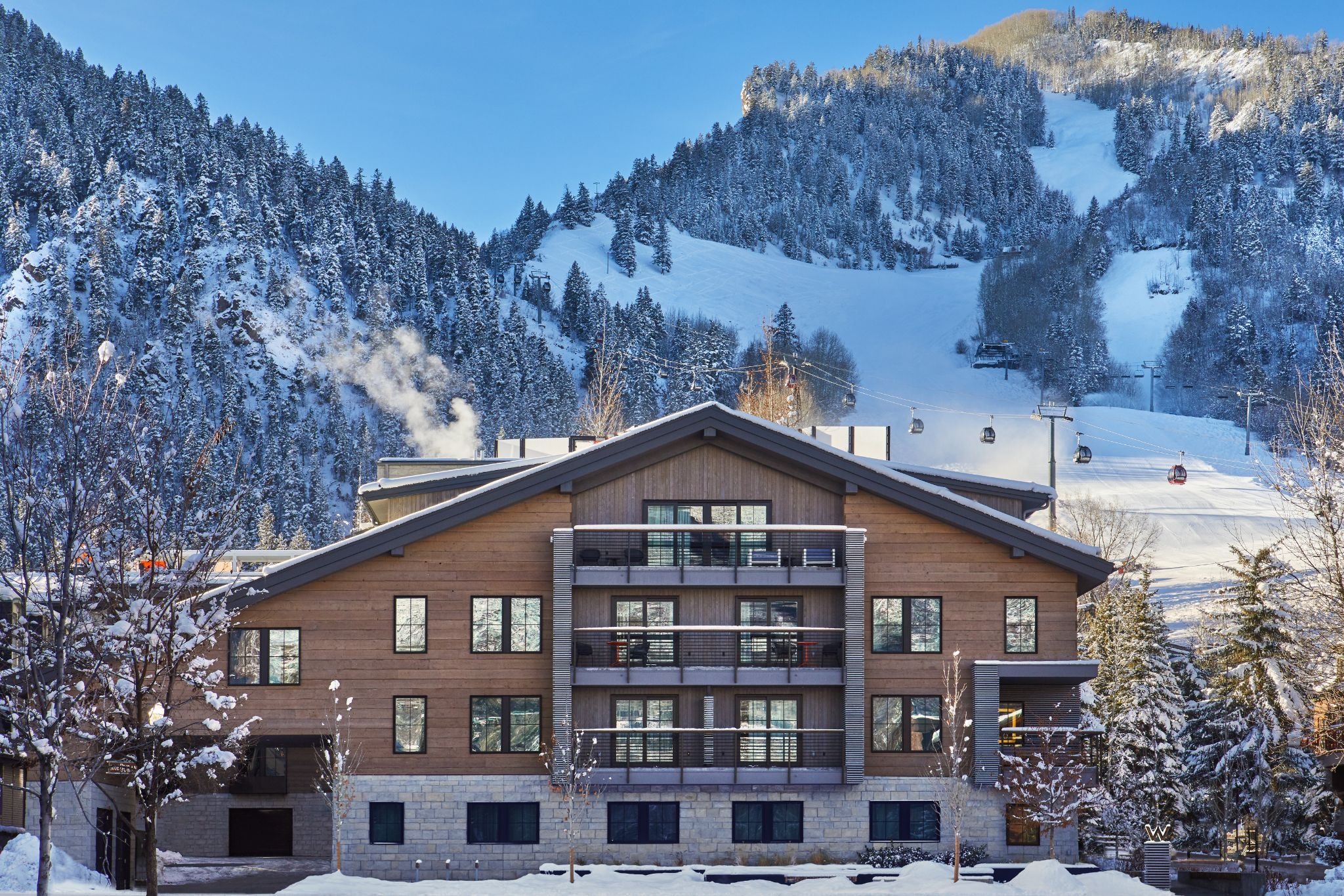 PURPLE Announces Representation of W Aspen